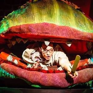 Meet your Posher, Landon